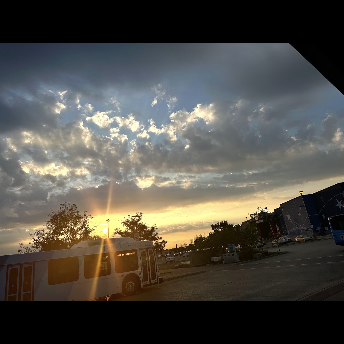 This is a photo I took in Richmond Hill.