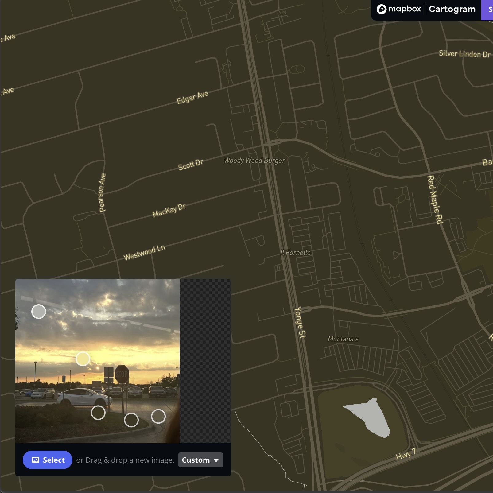 This is the result after I imported the photo using the Cartogram Mapbox.