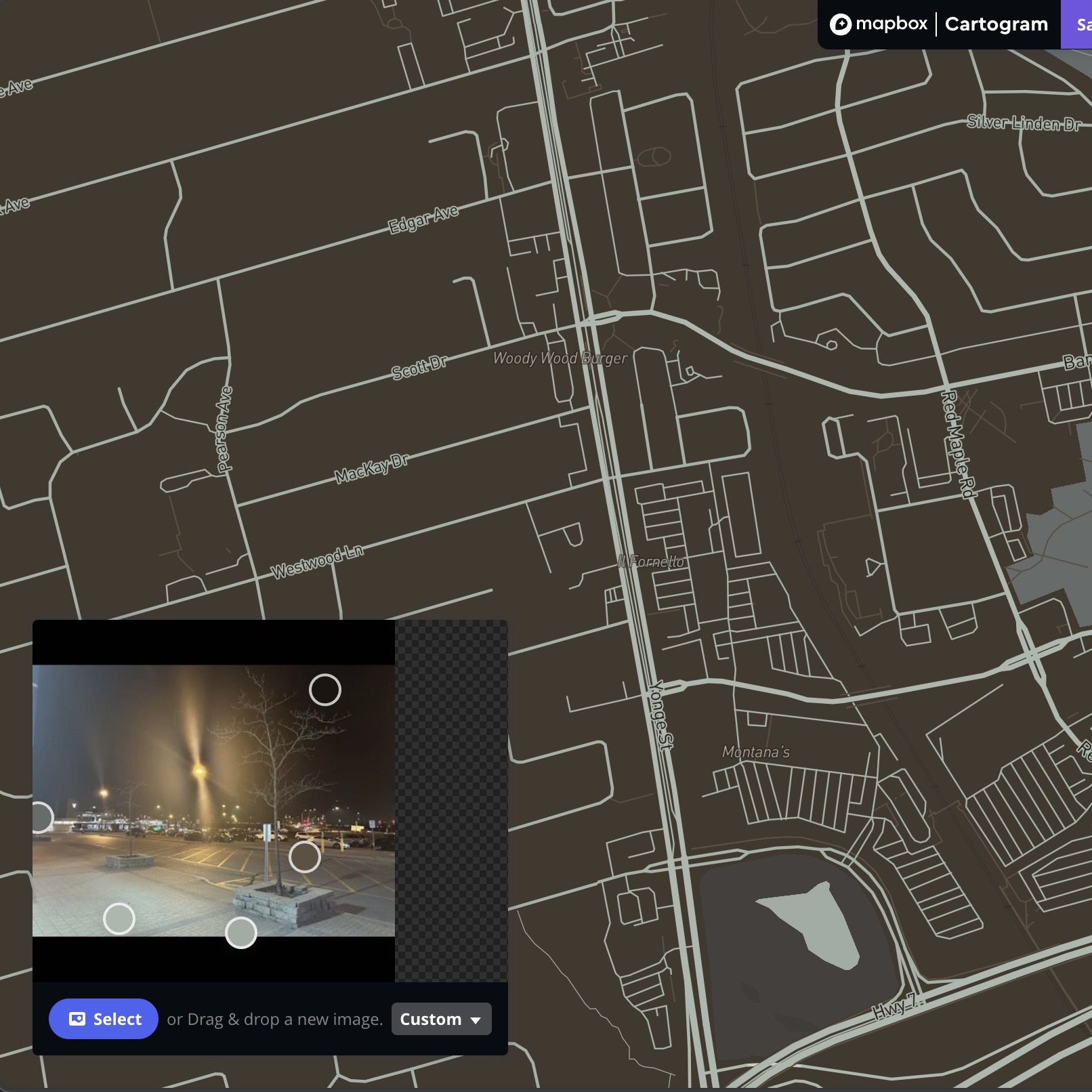 This is the result after I imported the photo using the Cartogram Mapbox.