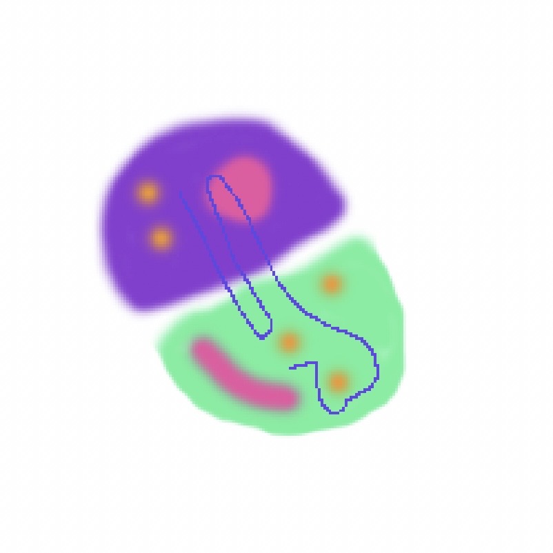 My exploration of the process of hanging medals.