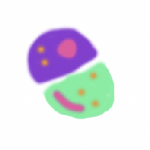 My exploration of the process of hanging medals.